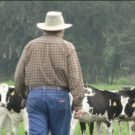 Travis Gilmore Avatar